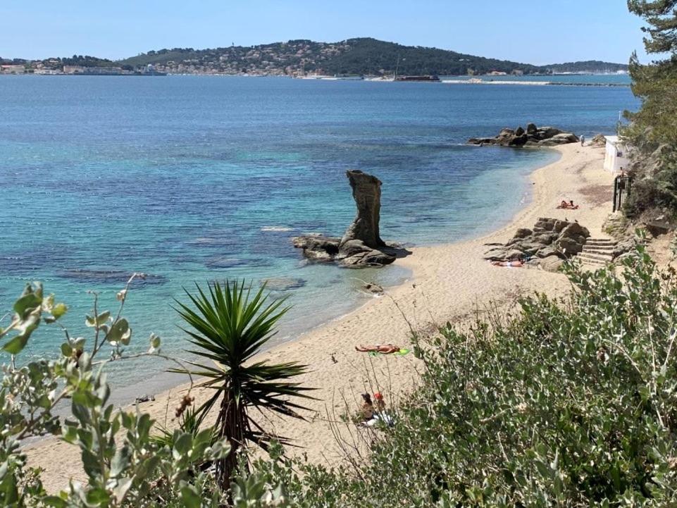 Superbe Appartement Proche Gare Τουλόν Εξωτερικό φωτογραφία